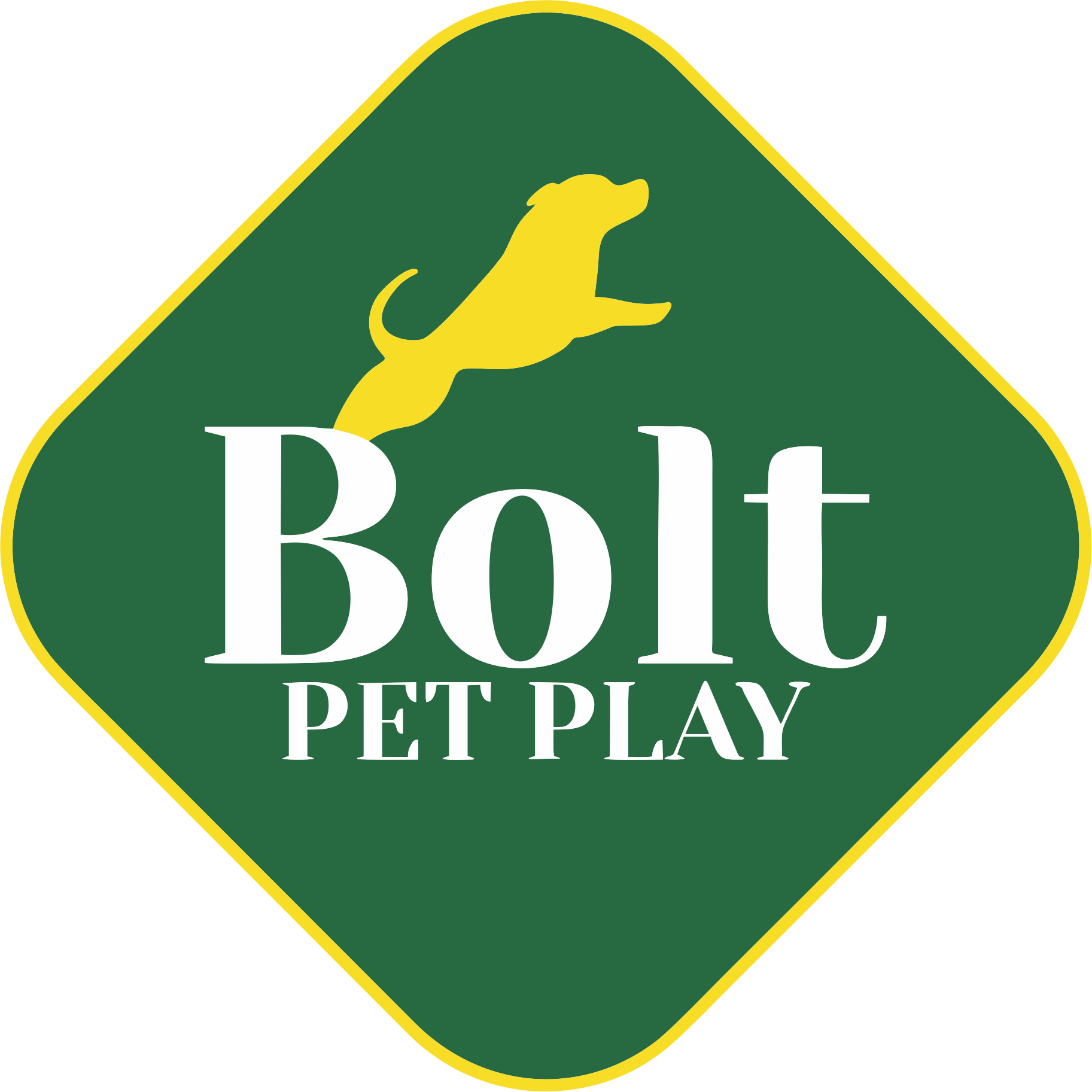 Bolt Pet Play