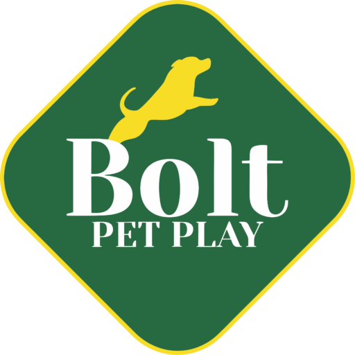Bolt Pet Play